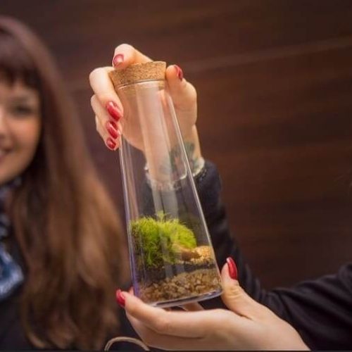 imgi_10_Teads-Case-Sound-14