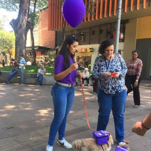 imgi_12_James-Dog-BH-Case-Sound-4