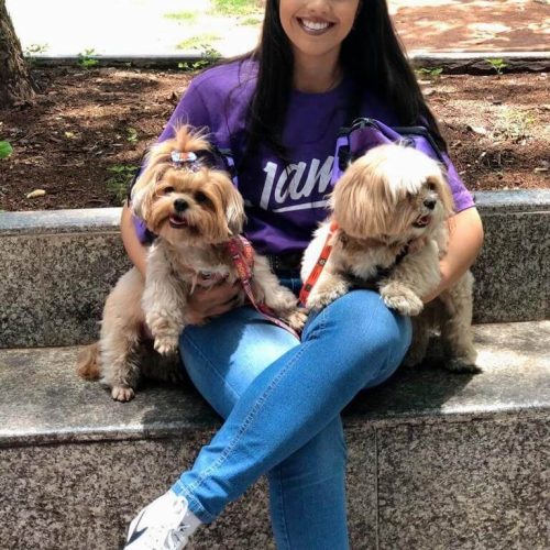 imgi_14_James-Dog-BH-Case-Sound-2