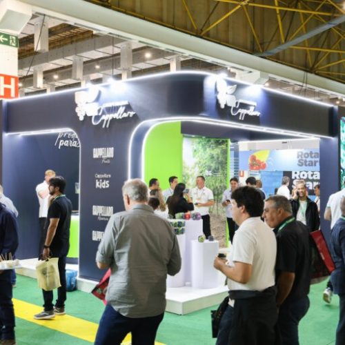 imgi_15_20240807_BrazilConference_0012-768×512