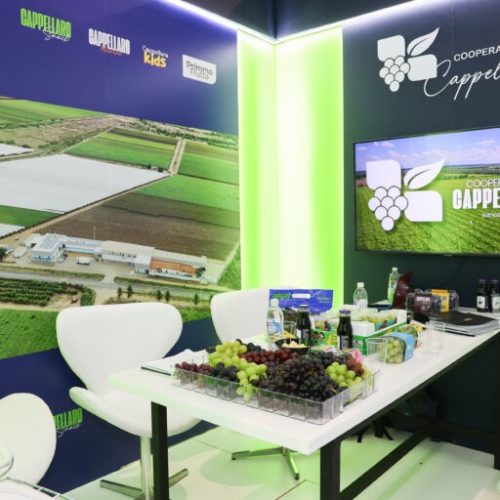 imgi_16_20240807_BrazilConference_0011-768×512