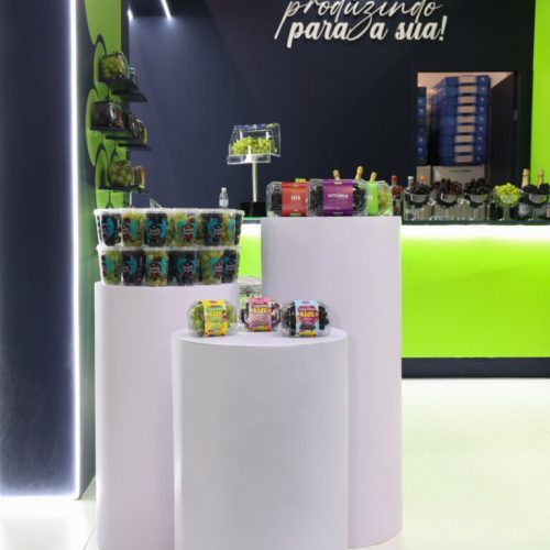 imgi_19_20240807_BrazilConference_0002-768×1152