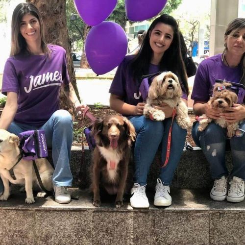 imgi_2_James-Dog-BH-Case-Sound-9