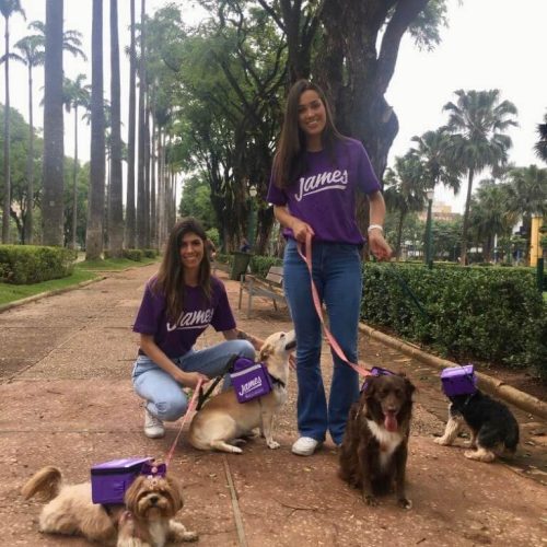 imgi_3_James-Dog-BH-Case-Sound-14