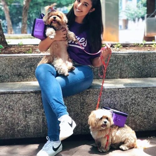 imgi_6_James-Dog-BH-Case-Sound-11