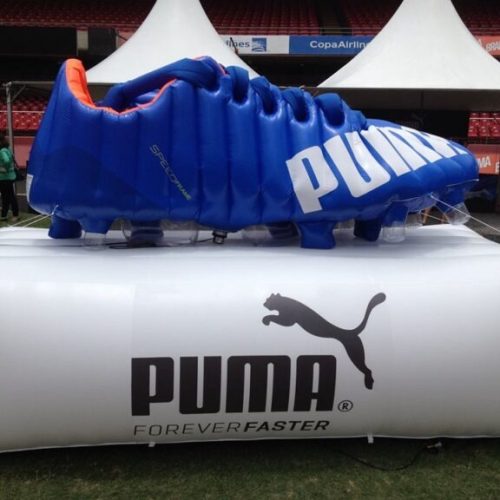 imgi_6_Puma-Case-Sound-4-768×576