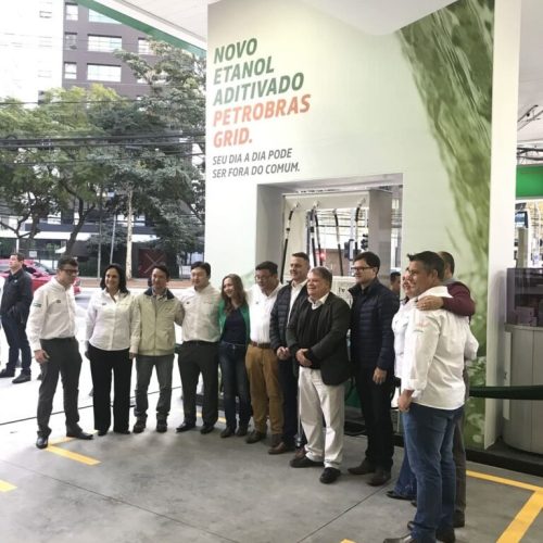 imgi_8_Berrine-Petrobras-Grid-Case-Sound-8-768×1024