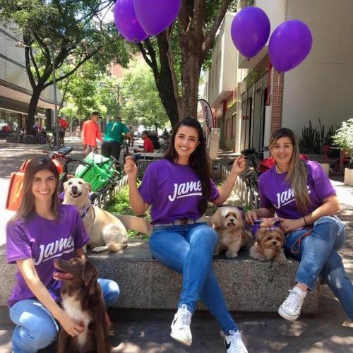 imgi_9_James-Dog-BH-Case-Sound-7